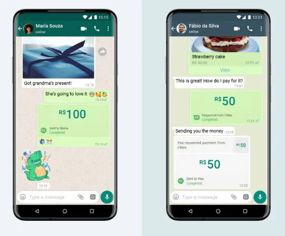 WhatsApp libera compras pelo app na Índia; veja como funciona - 29